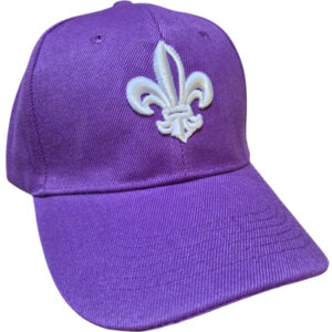 [Nueva] Gorra snapback - Violeta