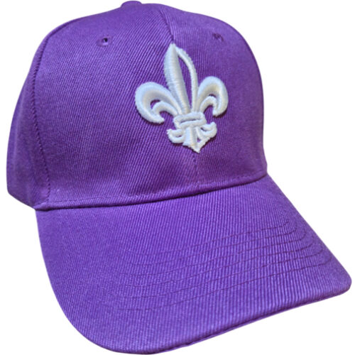 [Nueva] Gorra snapback - Violeta
